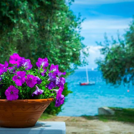 Villa Teresa Luxury Suites Limenas  Dış mekan fotoğraf